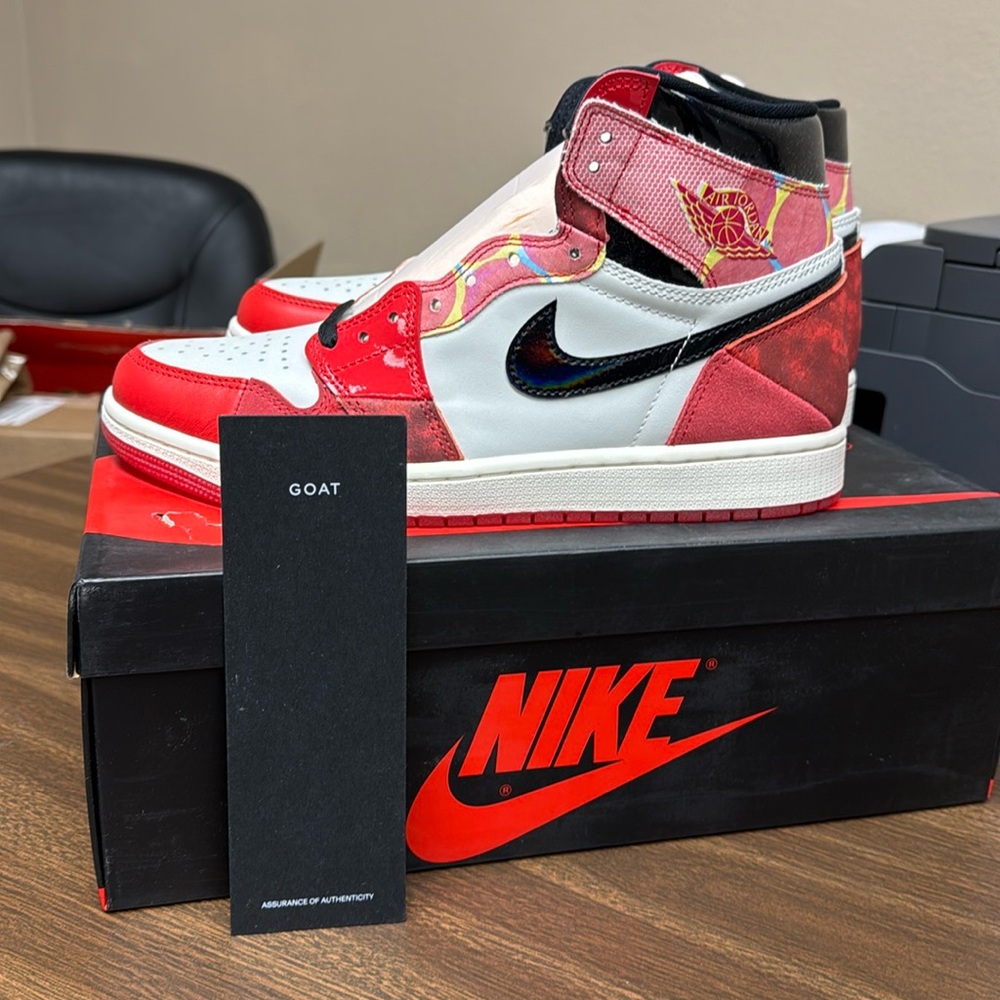 DS Jordan 1 “next chapter”